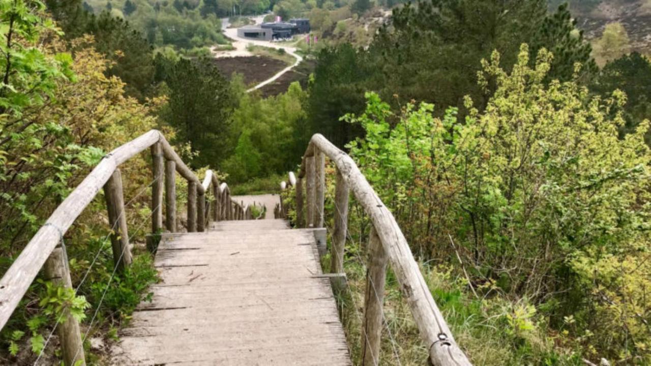 Holidays In Dirkshorn Εξωτερικό φωτογραφία